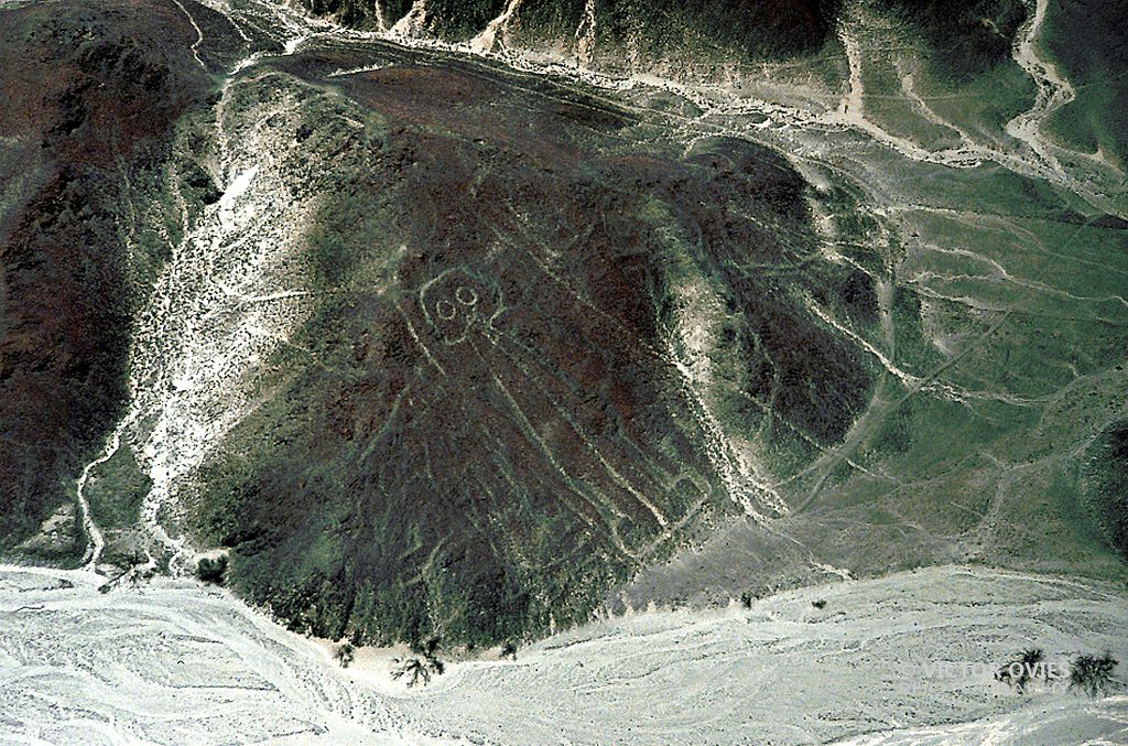 Líneas de Nazca